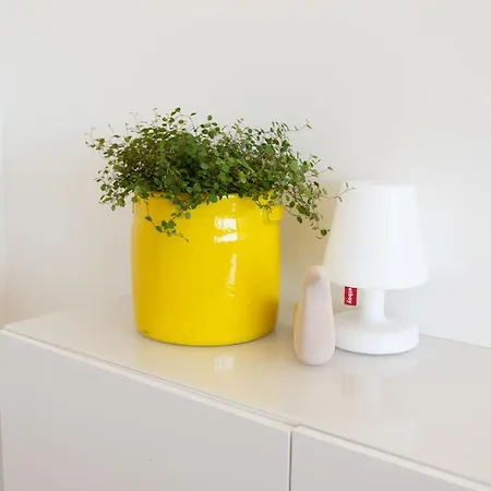 Διαμέρισμα Sealine Nieuwpoort