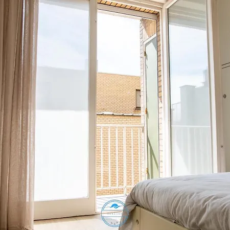 Sealine * Nieuwpoort